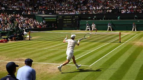 2016 Wimbledon Championships – Men's singles .